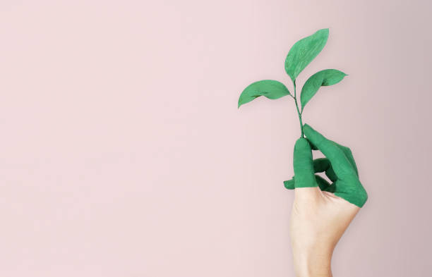 Main tenant une plante verte sur un fond rose